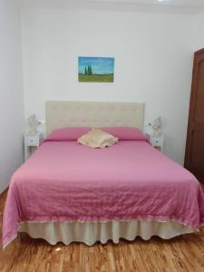 聖薩維諾山的住宿－dalla CARLA in Toscana，一间卧室配有一张带粉红色床罩的床
