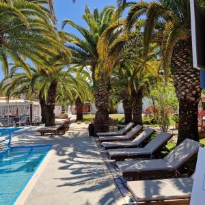 a row of chaise lounges under palm trees near a pool at ABC Sweet Home in Sidari