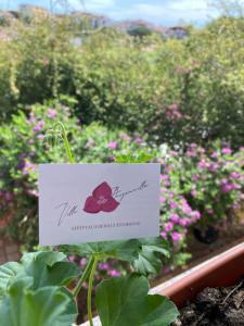 a sign on a plant in a garden at Villa le Bougainvillea in La Maddalena