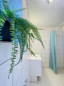 La salle de bains est pourvue d'une douche et d'une plante verte. dans l'établissement aday - Greenway 2 bedrooms apartment, à Frederikshavn