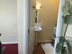 Baño pequeño con lavabo y aseo en Railway Avenue Rooms en Clifden