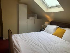 a bedroom with a large bed with a skylight at Railway Avenue Rooms in Clifden