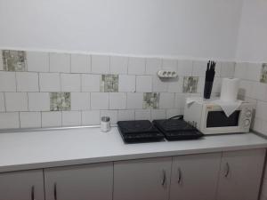a kitchen counter with a stove and a microwave at Vila Viorica in Sovata
