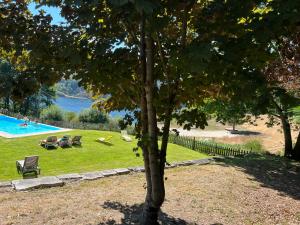 un arbre dans un parc avec une piscine dans l'établissement Casa d´Água, à Venda Nova