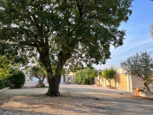 Galeriebild der Unterkunft Borgo Miceli in Locorotondo