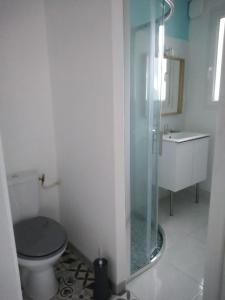 een badkamer met een toilet en een glazen douche bij T2 charmant bord de mer Pornichet avec terrasse in Pornichet