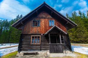 una vieja cabaña de madera en el bosque en Mala koča Wooden Cabin, en Goreljek