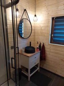 a bathroom with a vanity with a mirror and a sink at Pan Modrzew in Zachełmie