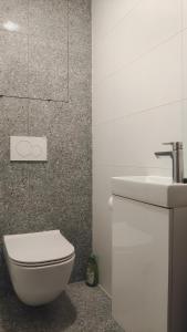 a bathroom with a white toilet and a sink at Stellaria apartment in Poprad +20 photos