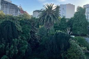 a group of trees and bushes in a city at Yellowstone Ático luminoso y acogedor in Ferrol