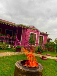 A garden outside Maşukiye pink house bungalow
