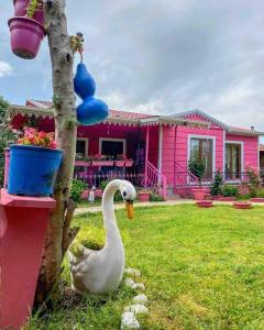 A garden outside Maşukiye pink house bungalow