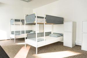 a bunk bed room with two bunk beds at Wild Elephants Hostel in Bratislava