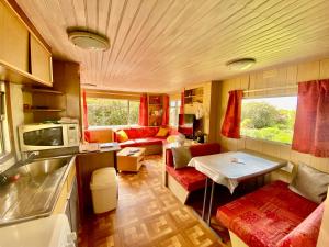 a kitchen and living room in a tiny house at Mobilhome sous chalet en bois au calme à la ferme in Josnes