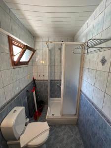 a bathroom with a toilet and a shower at BG Villas & Aparts in Kas