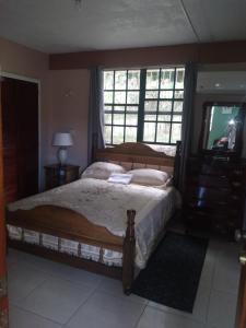 1 dormitorio con 1 cama grande y TV en Ebenezer's Haven en Roseau