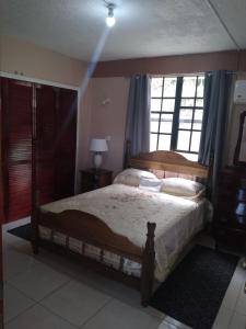 ein Schlafzimmer mit einem großen Bett und einem Fenster in der Unterkunft Ebenezer's Haven in Roseau