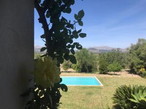 Fotografie z fotogalerie ubytování Villa Florida Luxury Villa with huge pool v destinaci Pollença + 30 fotografií