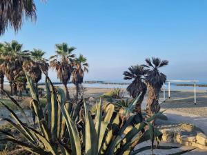 a group of palm trees on the beach at Ostia house in Lido di Ostia