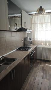 uma cozinha com um lavatório e um fogão forno superior em Apartament Victoria em Baile Felix