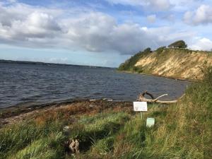 un segno nell'erba vicino a un corpo d'acqua di Ferienwohnung Michel a Glücksburg Altre 12 foto