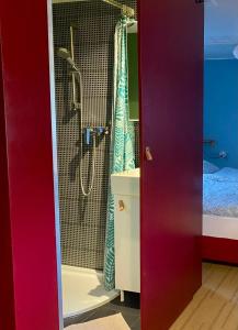 a bathroom with a shower and a sink at Tiny House bei Mardorf am Steinhuder Meer in Rehburg-Loccum