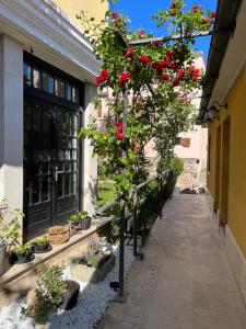 a garden with roses growing on a building at Guest House Torci 18 in Novigrad Istria