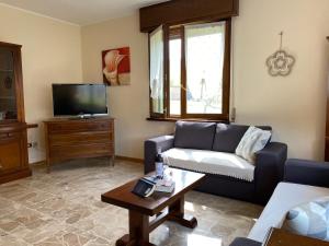 Crone的住宿－Casa Michela，带沙发和电视的客厅