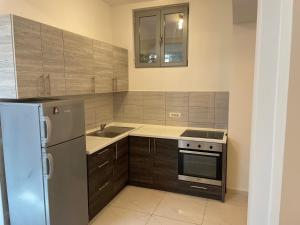 La cuisine est équipée d'un réfrigérateur en acier inoxydable et d'un évier. dans l'établissement Apartment Park and Beach, à Igalo