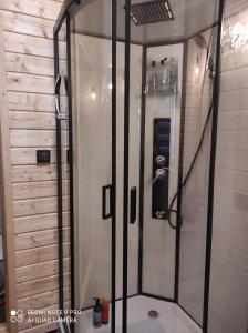 ducha con puerta de cristal y mando a distancia en Pan Modrzew en Zachełmie