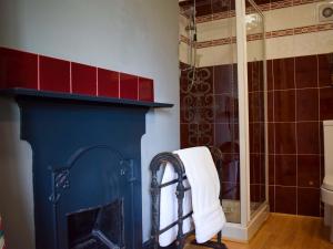 a bathroom with a blue fireplace and a shower at Elloe Lodge in Holbeach