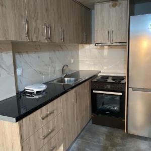 JTverga apartments A3 في Almirón: مطبخ مع حوض وثلاجة حديد قابل للصدأ