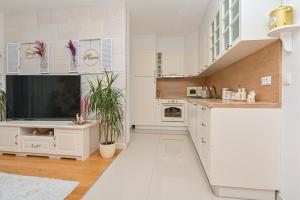 Kuchyň nebo kuchyňský kout v ubytování Apartment Đaninovica II