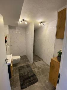 e bagno con servizi igienici, lavandino e doccia. di Nisay Home - 4 Room Apartment - Nr2 a Ludwigsburg