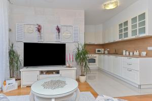 Kuchyň nebo kuchyňský kout v ubytování Apartment Đaninovica II