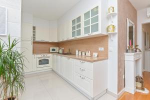 Kuchyň nebo kuchyňský kout v ubytování Apartment Đaninovica II