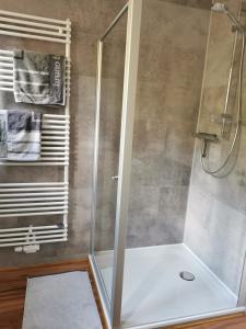 La salle de bains est pourvue d'une douche avec une porte en verre. dans l'établissement Ferienwohnung in Waldrandlage in Nationalpark Schleiden / Eifel, à Schleiden
