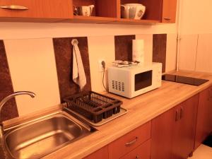 encimera de cocina con fregadero y microondas en Sinaia Alex Apartments, en Sinaia