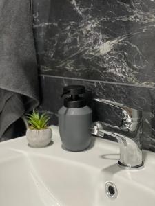 Φωτογραφία από το άλμπουμ του Grey apartment σε Golubac