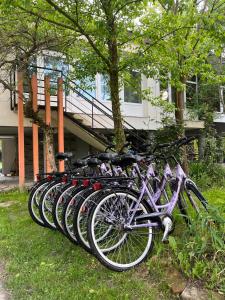 una fila de bicicletas estacionadas frente a un edificio en Fekete Gólya Pihenőház, en Baja