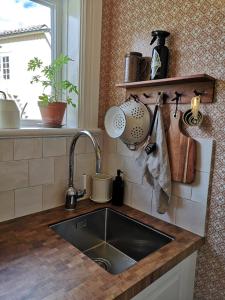 恩高平的住宿－North Wing - Sviten，带水槽的厨房台面和窗户
