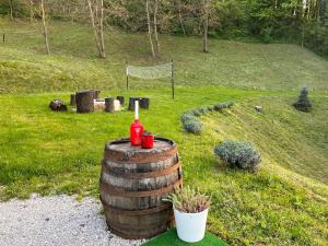 Zahrada ubytování Vila Countryhouse Pijevci