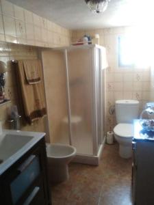 a bathroom with a shower and a toilet and a sink at La caseta d'Amparo in Catadau