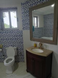 y baño con aseo, lavabo y espejo. en Oasis Lawafossi en Bobo Dioulasso