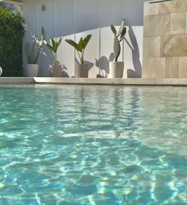 a swimming pool with potted plants on a wall at Agriturismo Panacea in Santa Cesarea Terme