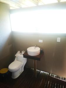 a bathroom with a white toilet and a sink at Glamping Mendoza in Ciudad Lujan de Cuyo