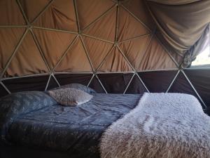 Glamping Mendoza في سيوداد لوجان دي كويو: سرير في خيمة مع مخدة وبطانية