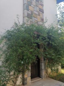 uma porta para um edifício com um monte de plantas em Iasos villa em Milas