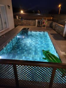 a frog sitting in a swimming pool at night at Iasos villa in Milas