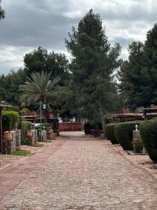 a cobblestone road in a yard with trees at Les Cactus in Bine el Ouidane